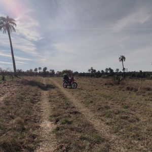 Honda Xr150 rally 2018 Rojo: imagen 2