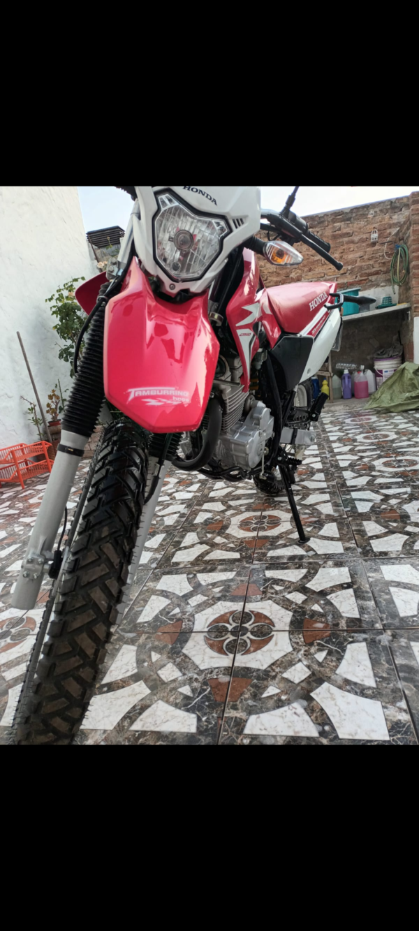 Honda XR 250 2023 Rojo - Imagen 4