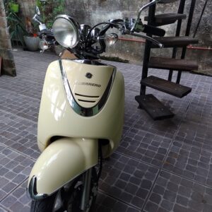 Guerrero Andiamo 2016 Otro: imagen 3