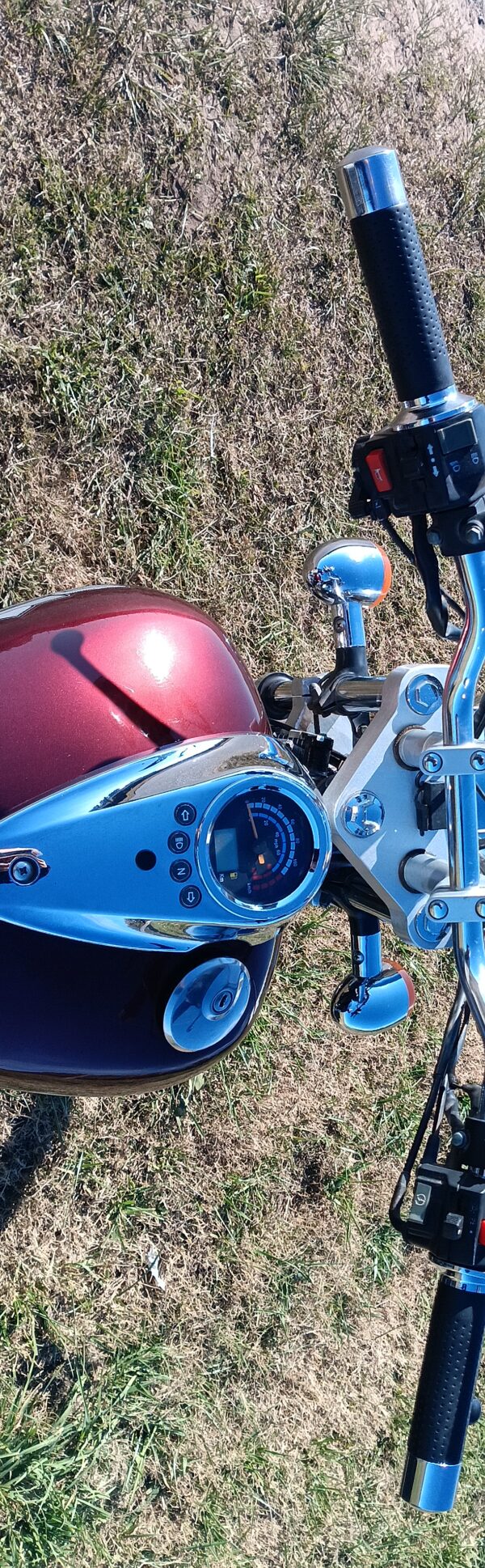 Tibo Coaster 250 2013 Rojo - Imagen 5