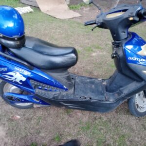 Lucky Lion  2011 2011 Azul: imagen 2