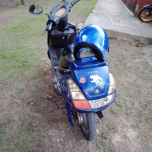 Lucky Lion  2011 2011 Azul
