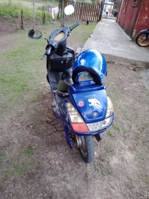 Lucky Lion  2011 2011 Azul