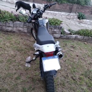 Motomel Skua 150 2023 Negro: imagen 4