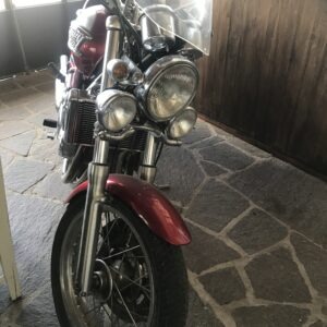 Triumph 900 Thunderbird 2000 Rojo: imagen 6
