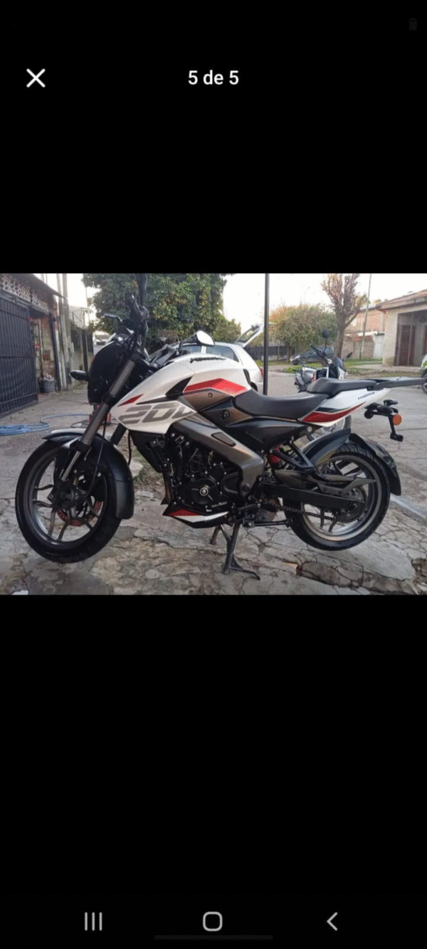 Bajaj 2024 2023 Blanco