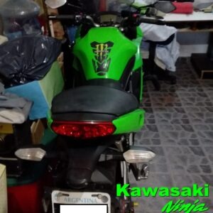 Kawasaki Ninja 650R 2010 Verde: imagen 5