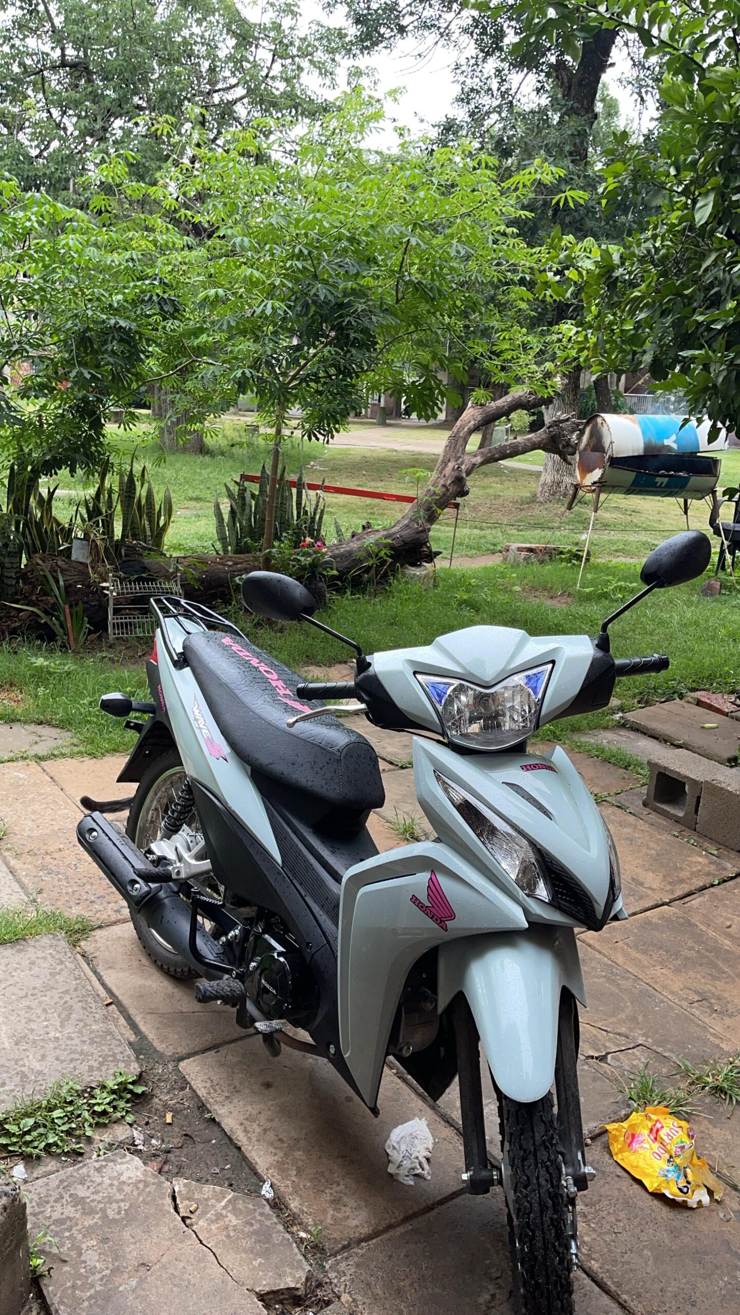 Honda wawe 2025: imagen 1