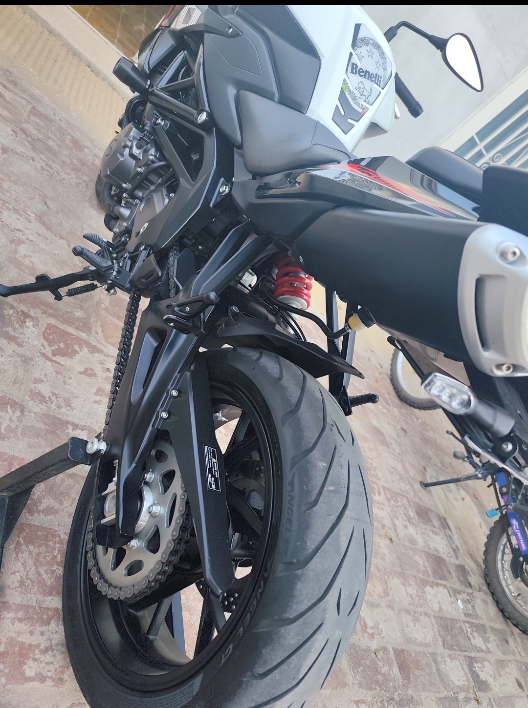 Benelli Tnt 600 I 2023 Blanco: imagen 7