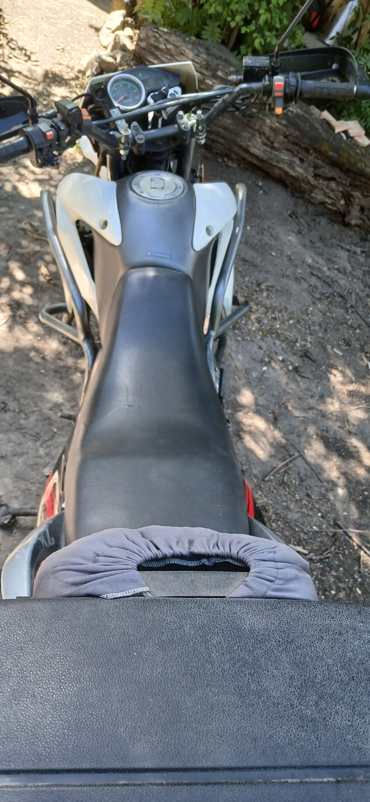Zanella 250 GTA: imagen 4