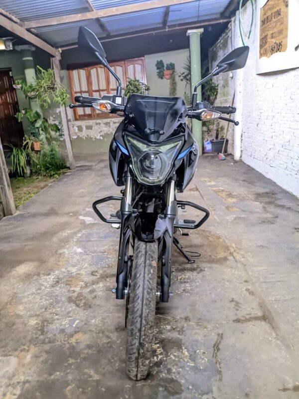 Rouser p150